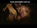 Part 3 Madagascar Island Ark - Before It's Too Late