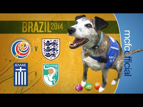 Will England finally win? | WORLD CUP PREDICTOR | Dougie the Dog Will England finally win? | WORLD CUP PREDICTOR | Dougie the Dog