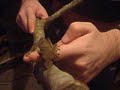 One of my Uroplatus henkeli (Henkel\ One of my Uroplatus henkeli (Henkel\