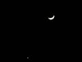 PorchChase: 12/31/08, Burleson, Tx: Crescent Moon/Venus Conjunction PorchChase: 12/31/08, Burleson, Tx: Crescent Moon/Venus Conjunction