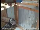 Ismail B pigeon buchones gaditano BOLO Sal� Maroc.flv