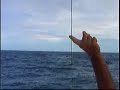 V Ron Flor de Cana International Fishing Tournament Part 1