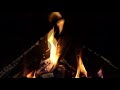 Flickering Flames Wood Fire Virtual Fireplace Calming