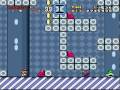 SCW-33-diced-mushroo