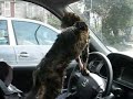 Truchi al volante Truchi al volante