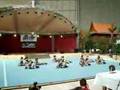 Iskierki K-12 na III Elite   Beach Cup 2008 (cheerdance)