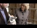Camilla, Duchess of Cornwall, visits Jaime's Farm