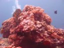 Diving in Bunaken (part 1)