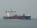 Stolt Shearwater
