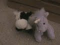 Quincy and the mystical creatures