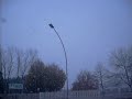 Nevicata Vittorio Veneto 24.11.2008 qualit� e quantit�