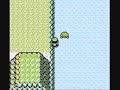 Glitchy Trainer in Pokemon Red Hack