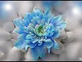 Mamy blue par Françoise Wolak Mamy blue par Françoise Wolak