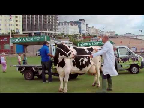 The Moo Man trailer - for UK use only ©Trufflepig Films