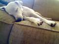 videos de Video 8