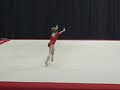 Sam Peszek Montage