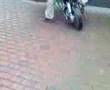 videos de bldsinn