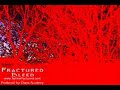 Fractured Fan Video - Bleed Fractured Fan Video - Bleed
