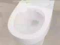videos de Essence toilet