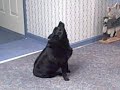 Booty boo song