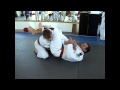 Rickson Gracie Arm Bar by Pedro Sauer