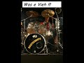 Die Quietschboys - Was e Vieh