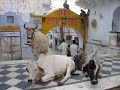 India 2007