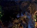 boa-constrictor-imperator-ariz-vs-adulte-maus.html