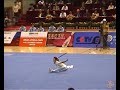 Wushu- Straight Sword video