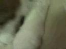 Dec 30 2007 - VID00010