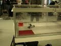 Ohio Robot Club: HORD Hits