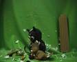  - MovieZen Video
