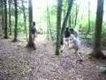 Camp Seloignes 2008