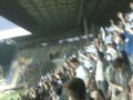 Zeljo - Siroki