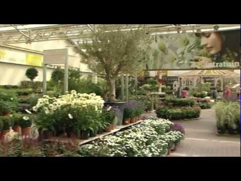Intratuin Duiven