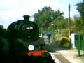 Steam train coming into station
