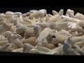 54 Venice Art Biennale (Arsenale)