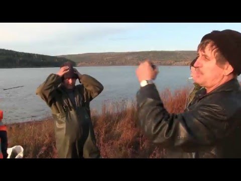 на рыбалку полотно слушать бесплатно на рыбалку полотно слушать бесплатно