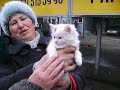 Nikolaev Humane Society