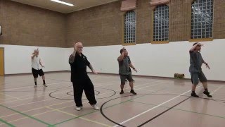 Old Yang Middle Frame Taijiquan