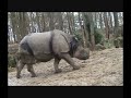 Dierentuin Amersfoort Dierentuin Amersfoort