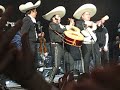 My Chem Mariachi copy.AVI My Chem Mariachi copy.AVI