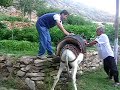 Enver mecburi hizmette 2