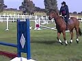 Jumping Lesson 3d July 2008 Jumping Lesson 3d July 2008