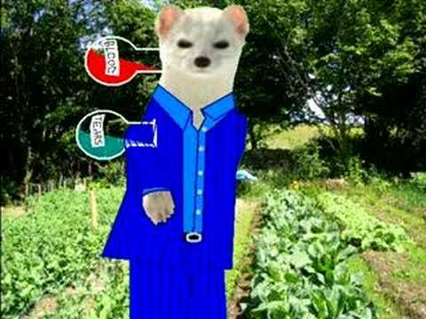 Jonathan King - The Silver Stoat