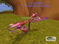 Dimitar y Kailea LVL 70 Arena Video