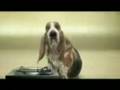videos de DJ Piesek