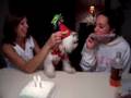 Hailey Picks on George on his Third Bithday