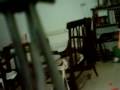 videos de Isidora vs. Shoom feat. VST