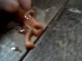 videos de Aplastando a alguien Toma corriente